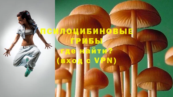 a pvp Белокуриха