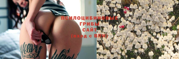 стафф Строитель