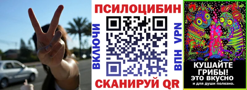 Галлюциногенные грибы GOLDEN TEACHER  купить наркотики цена  Валуйки 