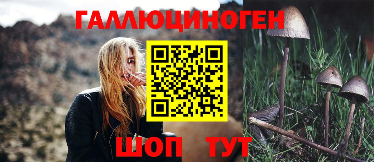 Валуйки  купить закладку  Вход с VPN  Галлюциногенные грибы GOLDEN TEACHER 